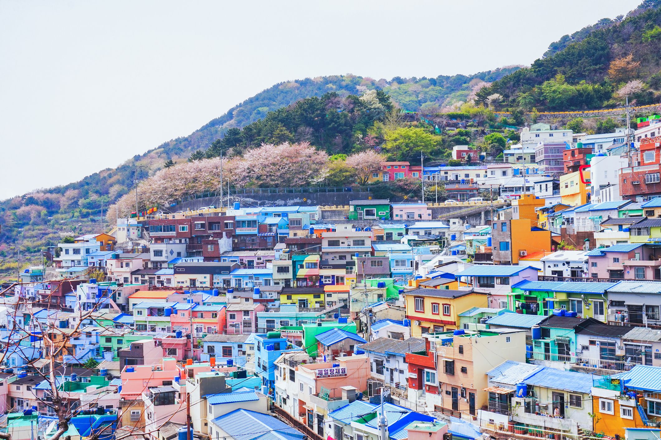 Busan